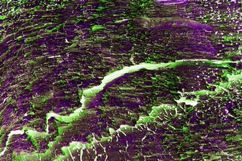 AP 144A1